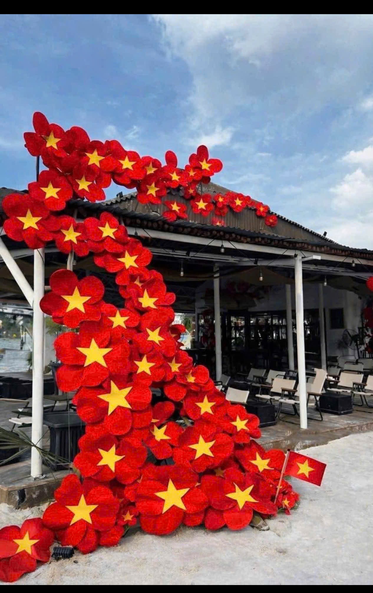 Ảnh 2 của Hoa cờ đỏ sao vàng