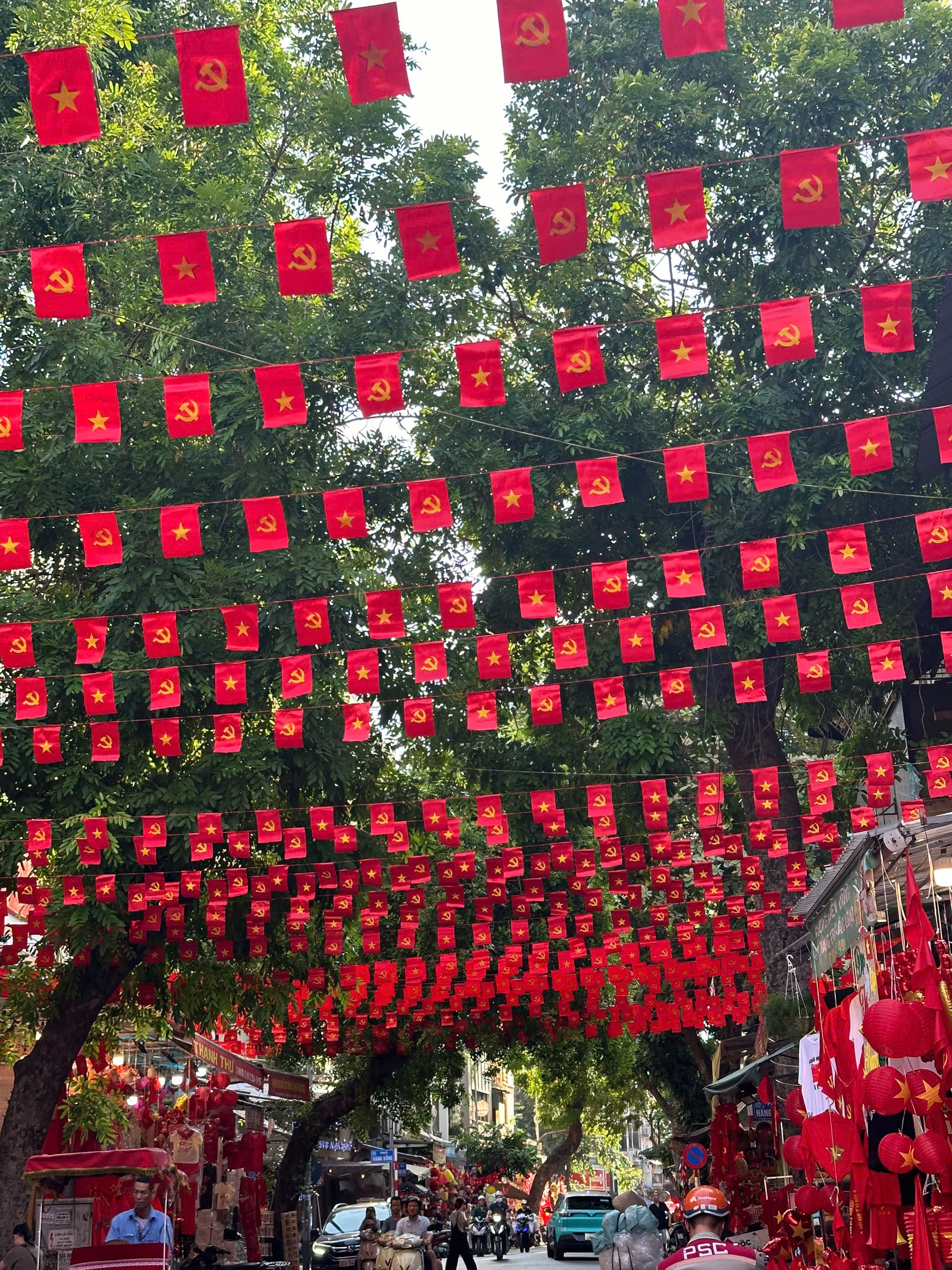 Dây cờ 10m